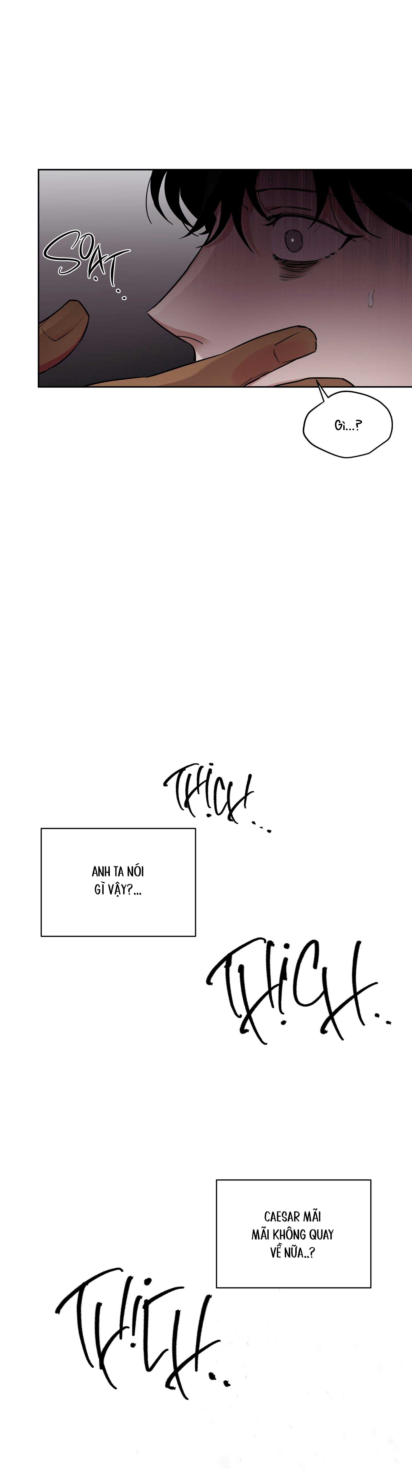 Hoa Hồng Và Rượu Vang Chap 45 - Next Chap 48