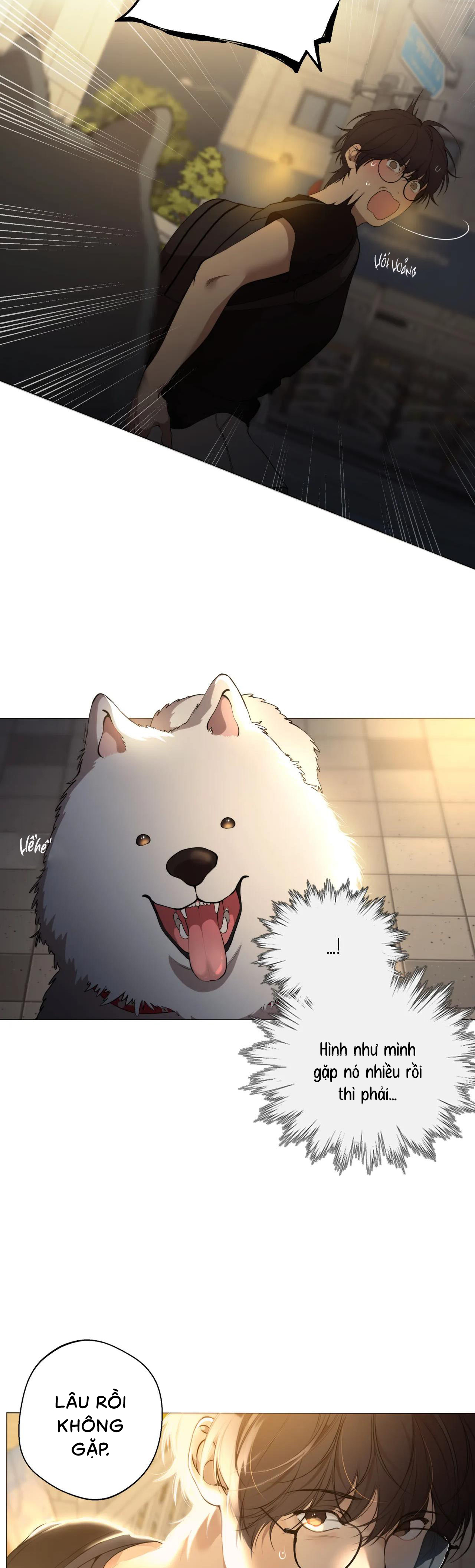 Lạc Giữa Những Tầng Mây Chap 57 - Next Chap 59