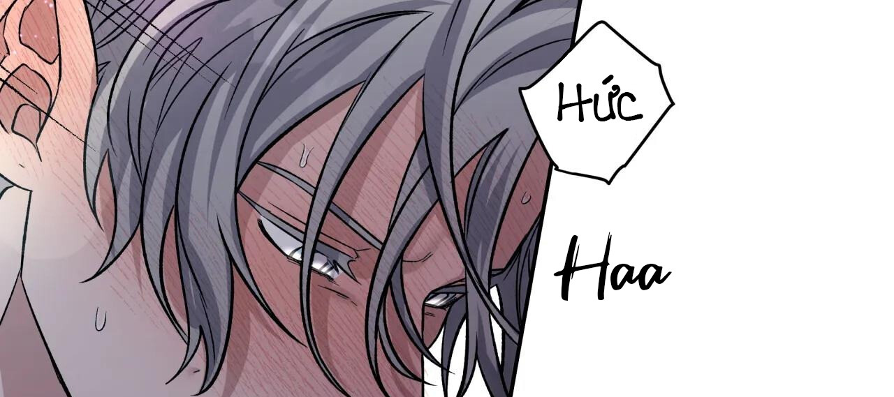 Nỗi Ám Ảnh Pheromone Chap 38 - Next Chap 39